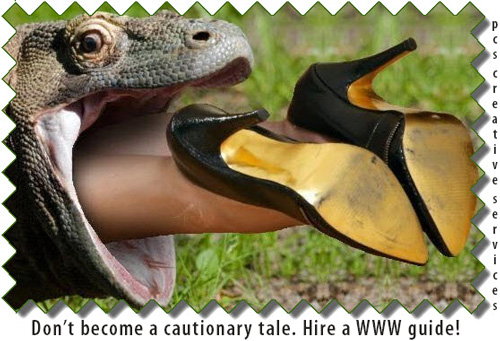 image of lizard swallowing a woman by andromeda111 at deviantart, don't become a cautionary tale hire a www guide pcs creative services