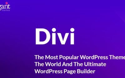 Why Divi is my Go To Theme