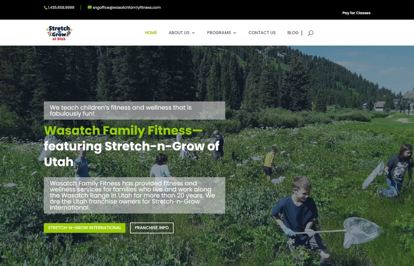 Stretch n Grow of Utah home page preview